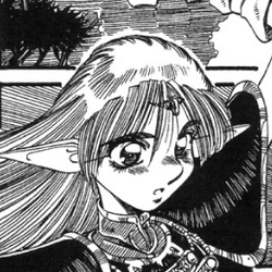 Record of Lodoss War: The Grey Witch (manga) | Record of Lodoss