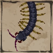 Centipede (Deedlit in Wonder Labyrinth)