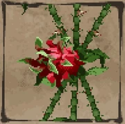 Bloody Petal (Deedlit in Wonder Labyrinth)