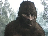 Sasquatch