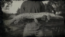 LongnoseGarComp RDR2