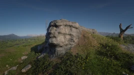 Face-Rock-main