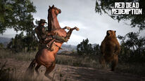 Rdr bear horse