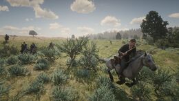 RDR2 PinkertonsGreatPlains