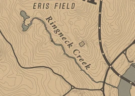 RingneckMappy RDR2