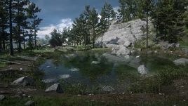 MoonstonePondRDR