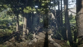 WitchHouseRDR2 Ambarino