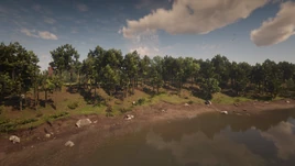 Radleys-Pasture-main