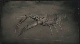 Rak luizjański (RDR2)