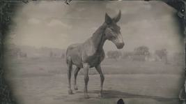 Muł (RDR2)