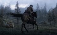 RDR 2 First Look 40