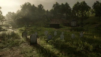 Могилы жителей Плэзанса