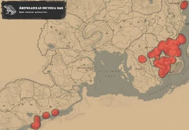 RDR2-American-bullfrog-map