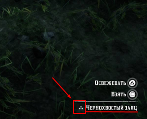De1cec715a2c71aa4e3209345084d740-0.png
