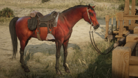 RedCleathRDR2.png (2,69 Мб) RedCleathRDR2
