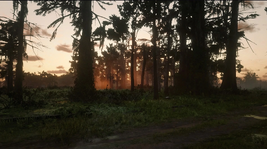 RDR Nwa