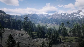 RDR2 Valley2