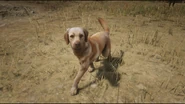 In-Game Rufüs währed der Fotomodus-Aufnahme