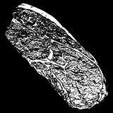 Pumafleisch.png