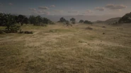 Der standort aus Red Dead Redemption 2, welches künftig die Ranch mal stehen wird