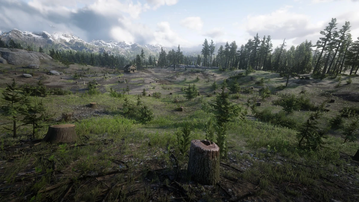 Appleseed Timber Company | Red Dead Redemption Wiki | Fandom