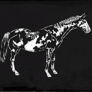 American Paint Red Dead Redemption Wiki Fandom