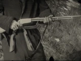 Varmint-Gewehr