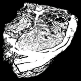 Hirschfleisch.png