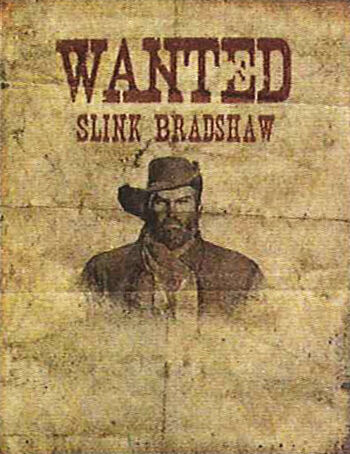 Slink bradshaw