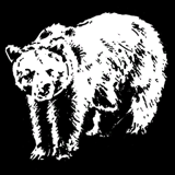 Grizzlyfell