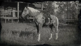 American Standardbred
