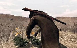 RDR