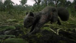 Tiere In Redemption 2 Red Dead Redemption Wiki Fandom