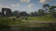 Der ort in Red Dead Redemption 2, welches Pacific Union Railroad Camp mal künftig gebaut wird.