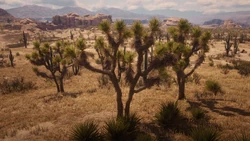 Josua-Palmlilie | Red Dead Redemption Wiki | Fandom