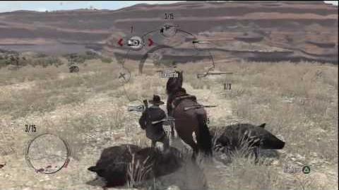 Red Dead Redemption Best Boar Hunting Location & Legendary Gordo Boar In *HD*(Funny)