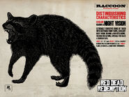 Raccoon.jpg (1,54 MB) Steckbrief