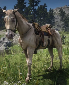 Buell (RDR2)