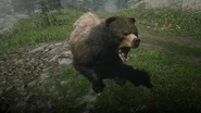 Ein Grizzlybär jagt den Spieler hinterher, aufnahme via Fotomodus