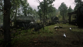 Butcher Creek
