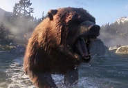 Ein Grizzlybär während des zweiten Trailers
