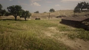 Neben der Kuhkoppel der platz der Scheune welches in RDR2 fehlt
