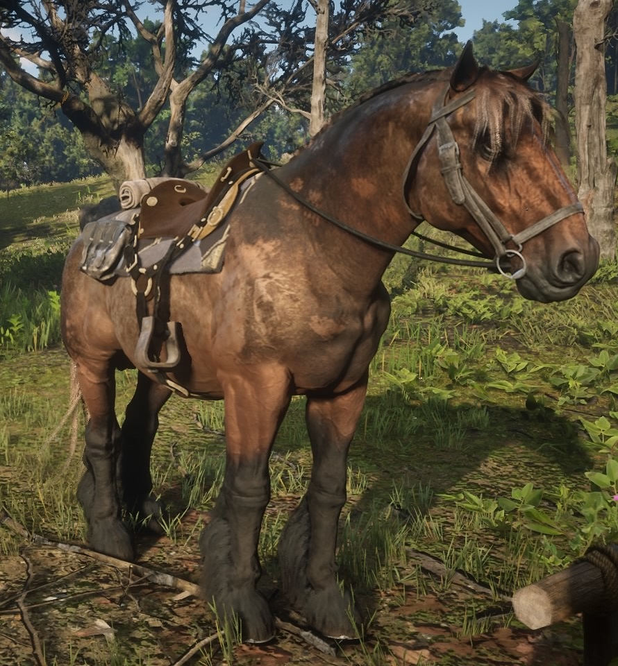 Red Dead Redemption 2 Temporäres Pferd