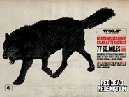 Ein von veröffentlichter Wolf-Steckbrief