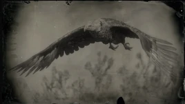 Weißkopfseeadler Profil