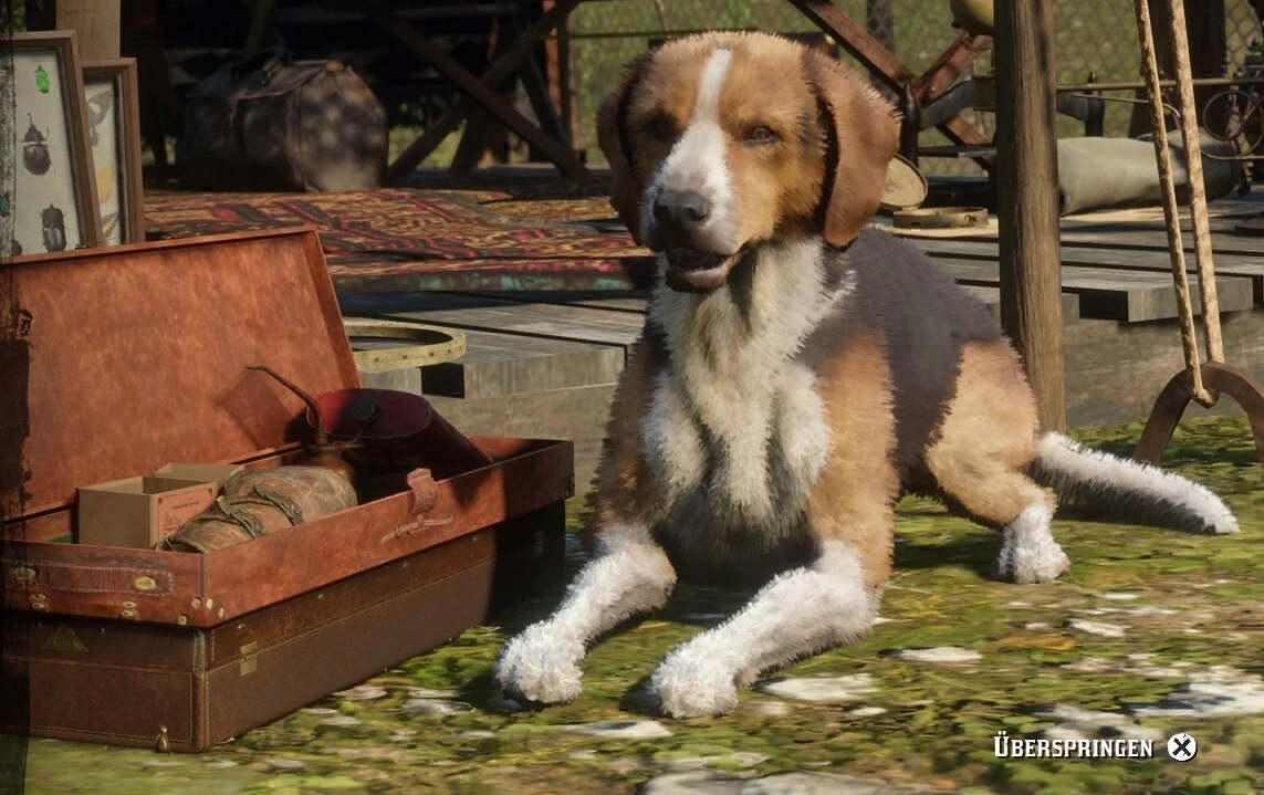 Archiv f©ơr Naturgeschichte, image size:1143x719