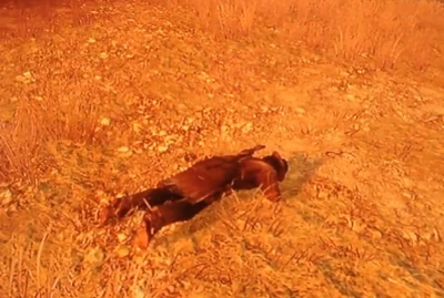 Wenn’s so schön war, noch ein Desert für hungrige Tiere.