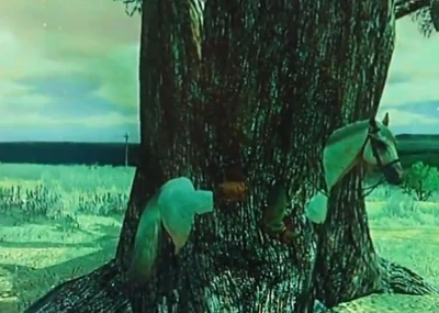 Pferde baumkuscheln angesagt „Bitte nicht stören“.