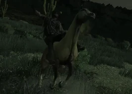 Wilde Pferde, gezähmte Leidenschaften-RDR