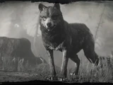 Legendäre Tiere in Redemption 2